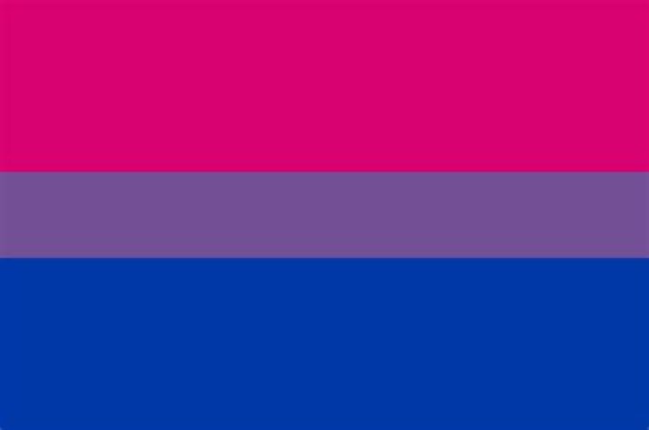 Bi Flag by EmeraldFlames97