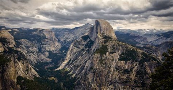 Blue Heron Blast Half Dome