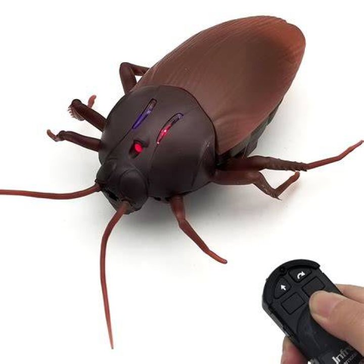 cockroach in electric chair Archives DailyPedia