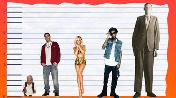 Drake Height How Tall is The 35YearOld Canadian Rapper? Hood MWR