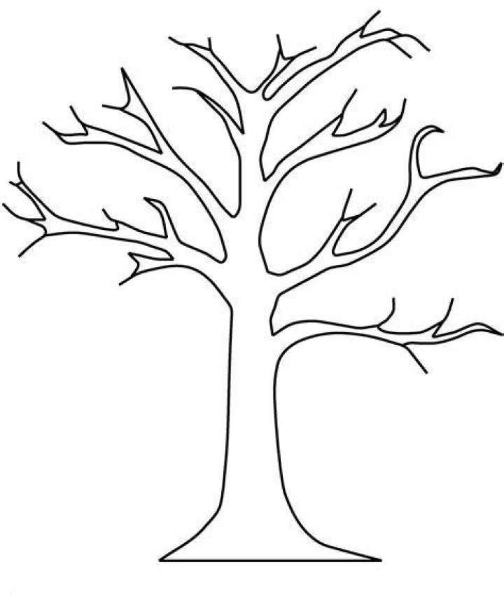 Printable Tree Without Leaves Printable World Holiday