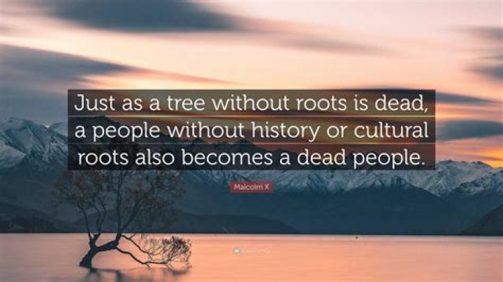 Read A Tree Without Roots Chapter 22 ManhuaScan