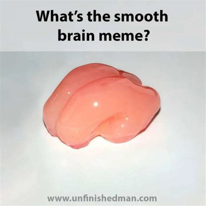 Smooth Brain Meme: A Deep Dive Into A Viral Sensation