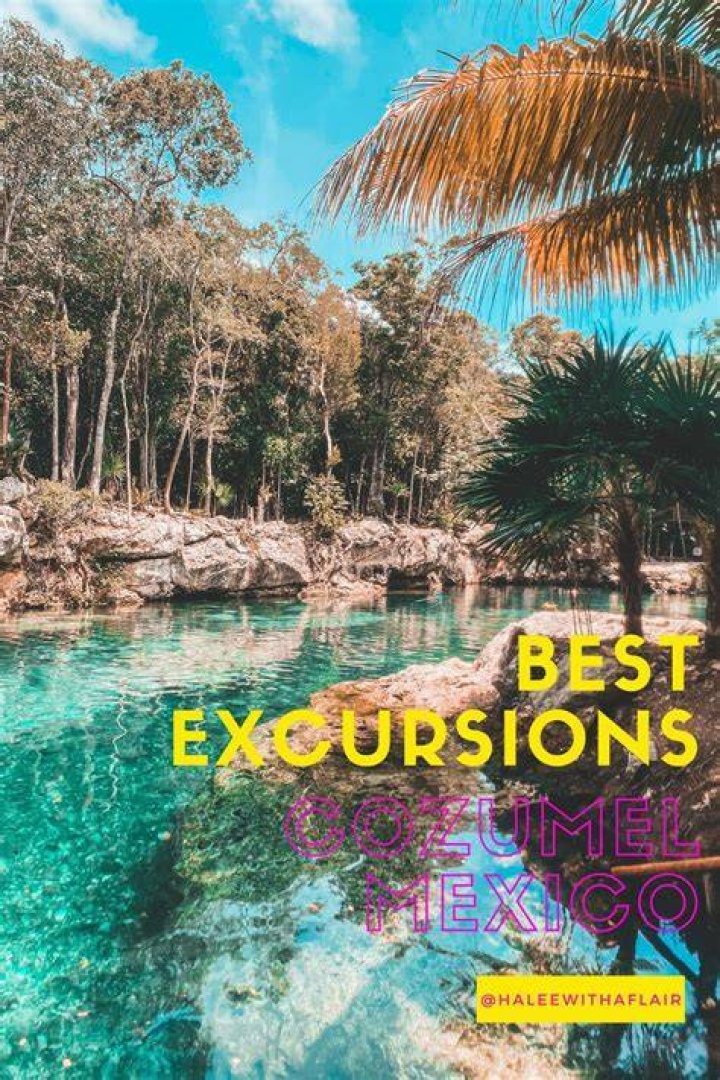 The 5 Best Excursion Ideas for Cozumel Halee with a Flair Cozumel